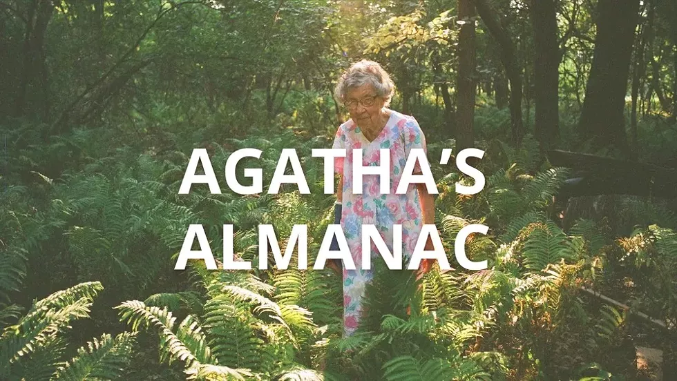 agatha-s-almanac.webp
