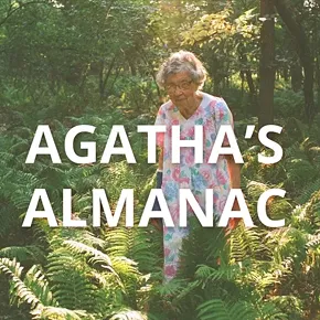Image: Agatha's Almanac