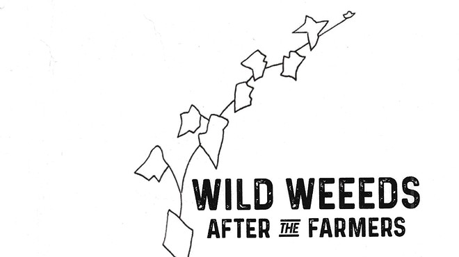 Album Review: Wild Weeeds | After the Farmers