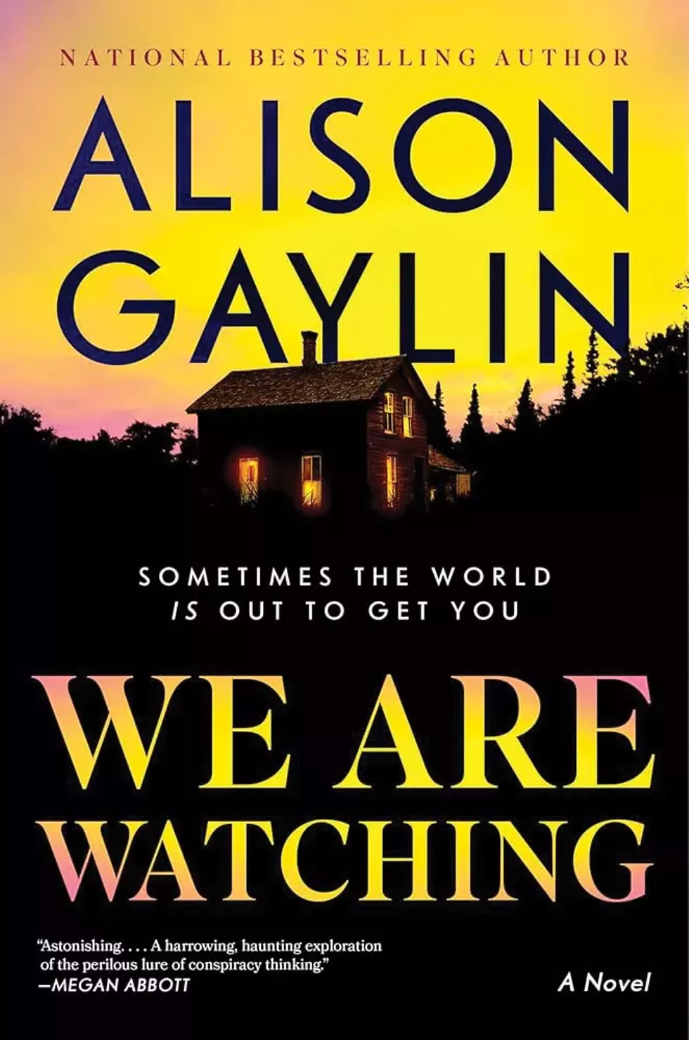 books_--_we_are_watching_alison_gaylin.webp