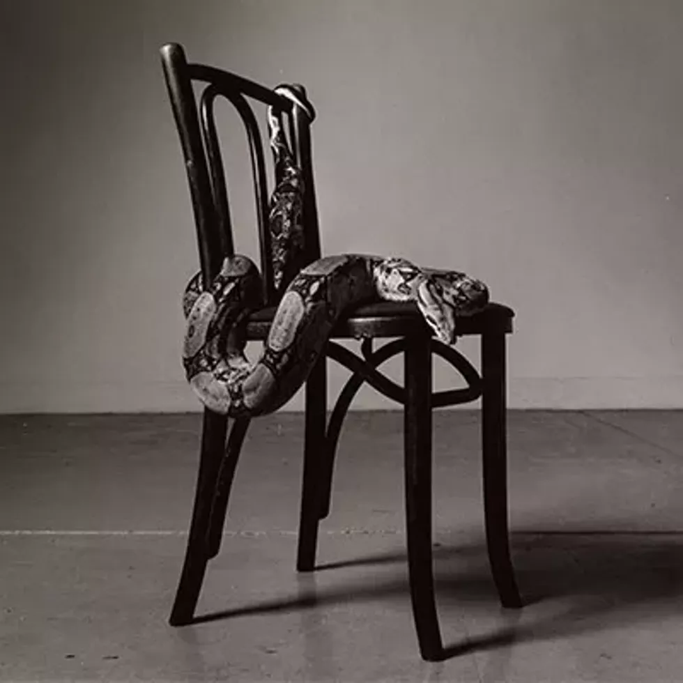 Peter Hujar, &ldquo;Skippy on a Chair (I),&rdquo; 1985, Gelatin silver print, Frances Lehman Loeb Art Center, Vassar College, Gift of Stephen Koch, 2003.47.2. &copy; Estate of Peter Hujar.