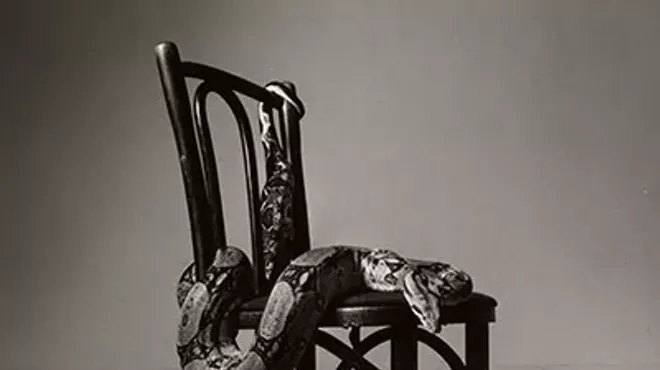 Image: All Photographs Tell the Truth: A Gallery Talk with Judy Linn