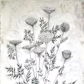 Image: Altered Landscapes: At Risk - Forest & Field. Sept. 24 - November 20
