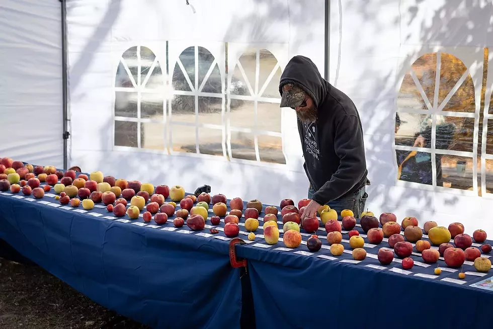 apples.webp