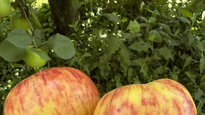 Image: An Apple a Day: the Apples of the Hudson Valley