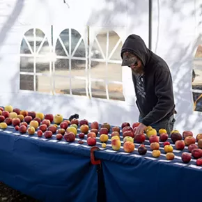 Image: An Apple A Day: The Apples of the Hudson Valley