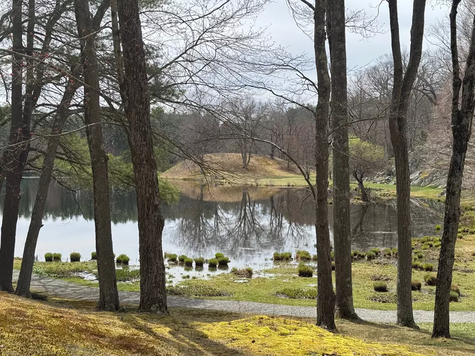 An Early Spring Naturalist Walk with Loren Merrill at Innisfree