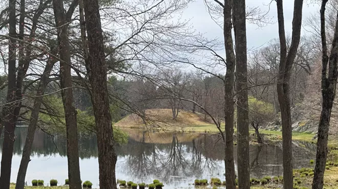 Image: An Early Spring Naturalist Walk with Loren Merrill
