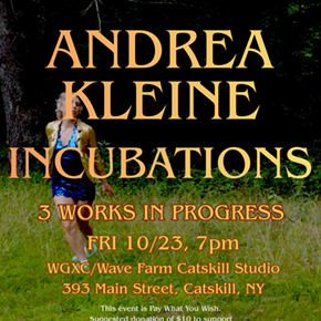Image: Andrea Kleine: Incubations (3 works in progress)