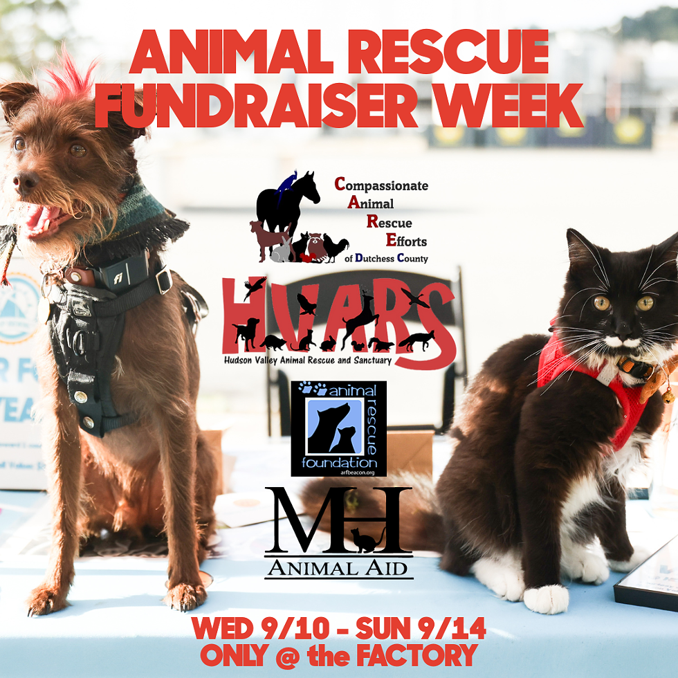 Animal Rescue Fundraiser Week at Sloop Brewing Co. at the Factory tasting room and restaurant.