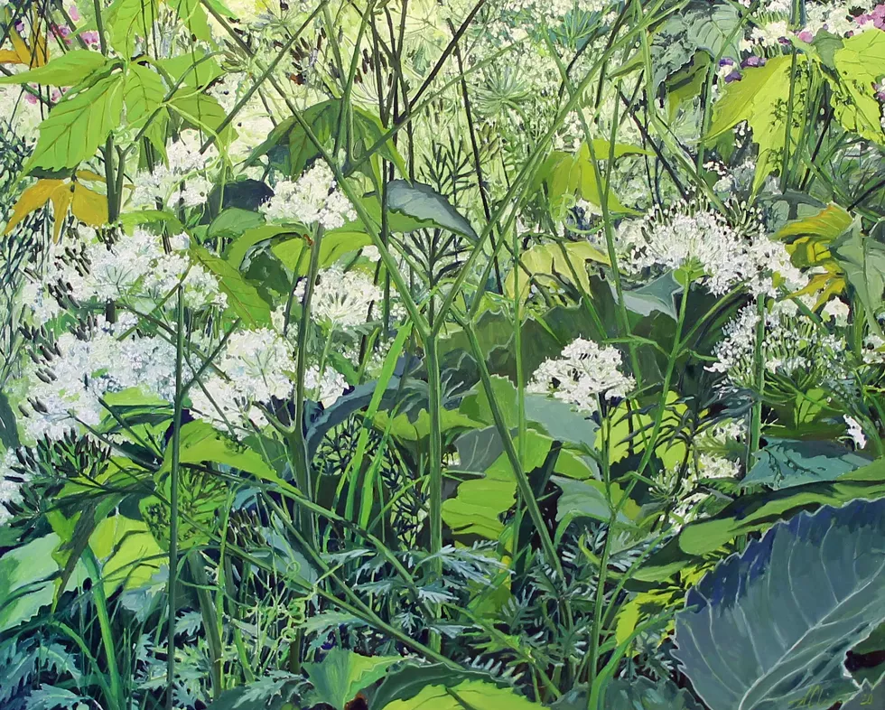 Wild Dill