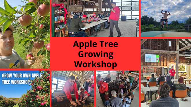 Image: Apple Tree Growing Workshop at Hurds Family Farm