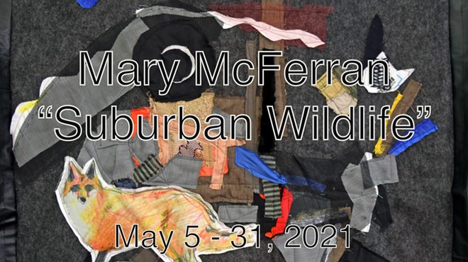 Art Exhibition: Mary McFerran "Suburban Wildlife"