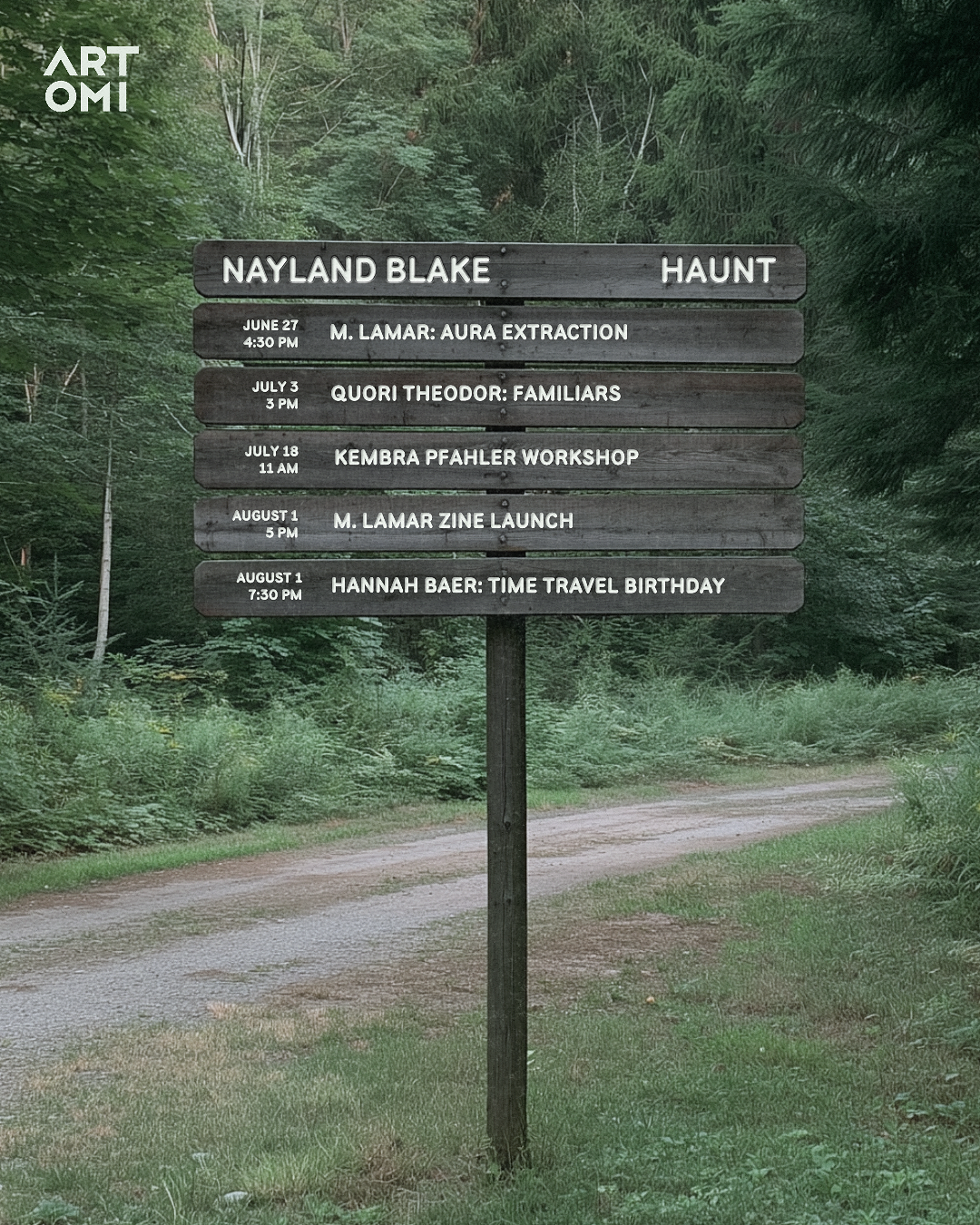 ao-26-nayland-blake-vi-4x5-parksign-combovisual-v2.png