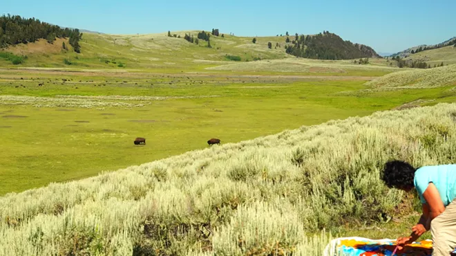 Image: ARTIST EXHIBITION: "Eyes of the Unseen"- As Bison Face Eviction, One Artist Painted Them Wild and Unbroken