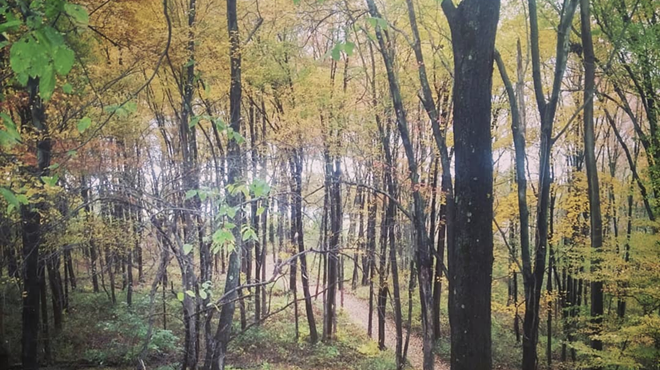 Image: Autumn Stroll