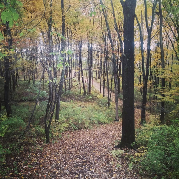 A Preserve at Vassar trail covered in fall leaves and lined with fall foliage.