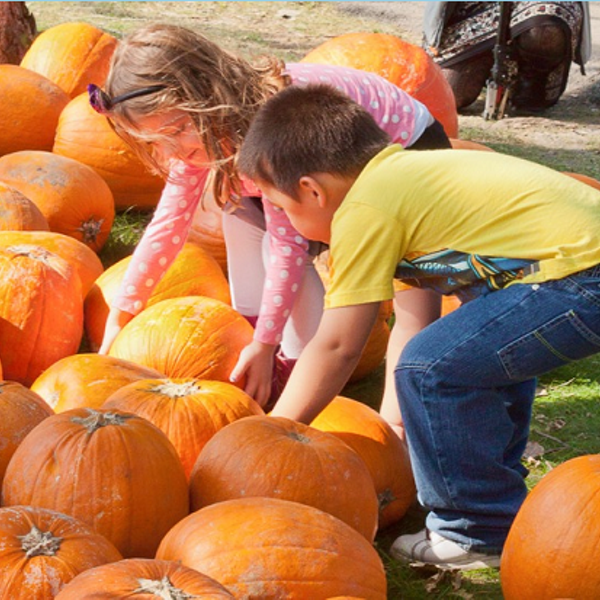 Beacon Sloop Club Annual Pumpkin Festival