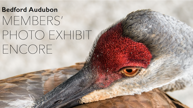 Image: Bedford Audubon Society Photographs Exhibit Reception