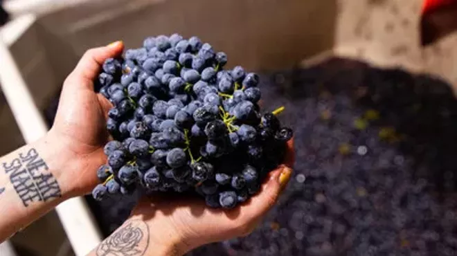 Image: Behind The Bottle: Harvest Winery Tour & Tasting