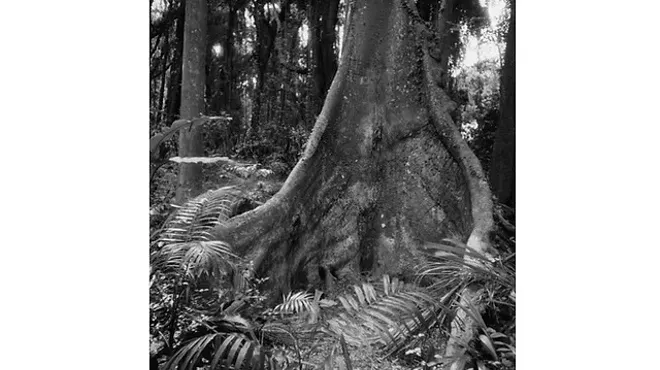 Image: Beth Bischoff New Photography Opening reception