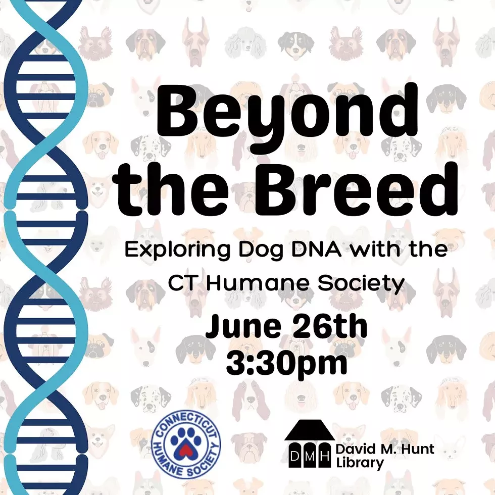 beyond_the_breed_event__instagram_post_.webp