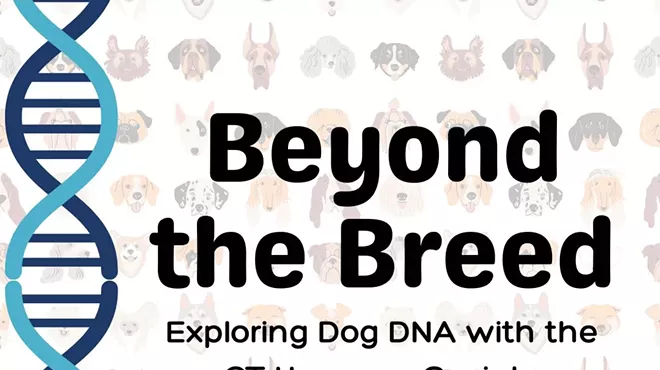Image: Beyond the Breed: Exploring Dog DNA with CT Humane Society