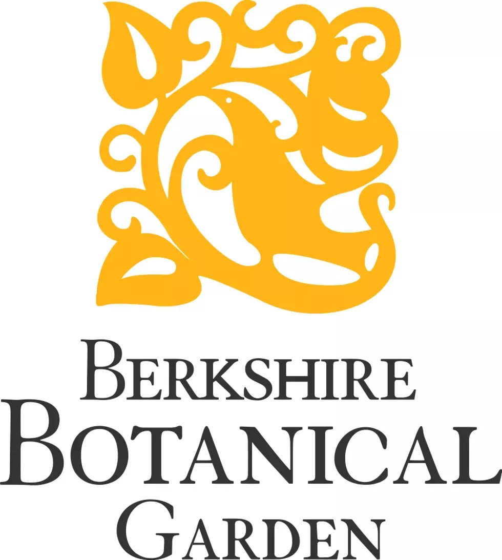 bbg_logo_stacked_centered-7.webp