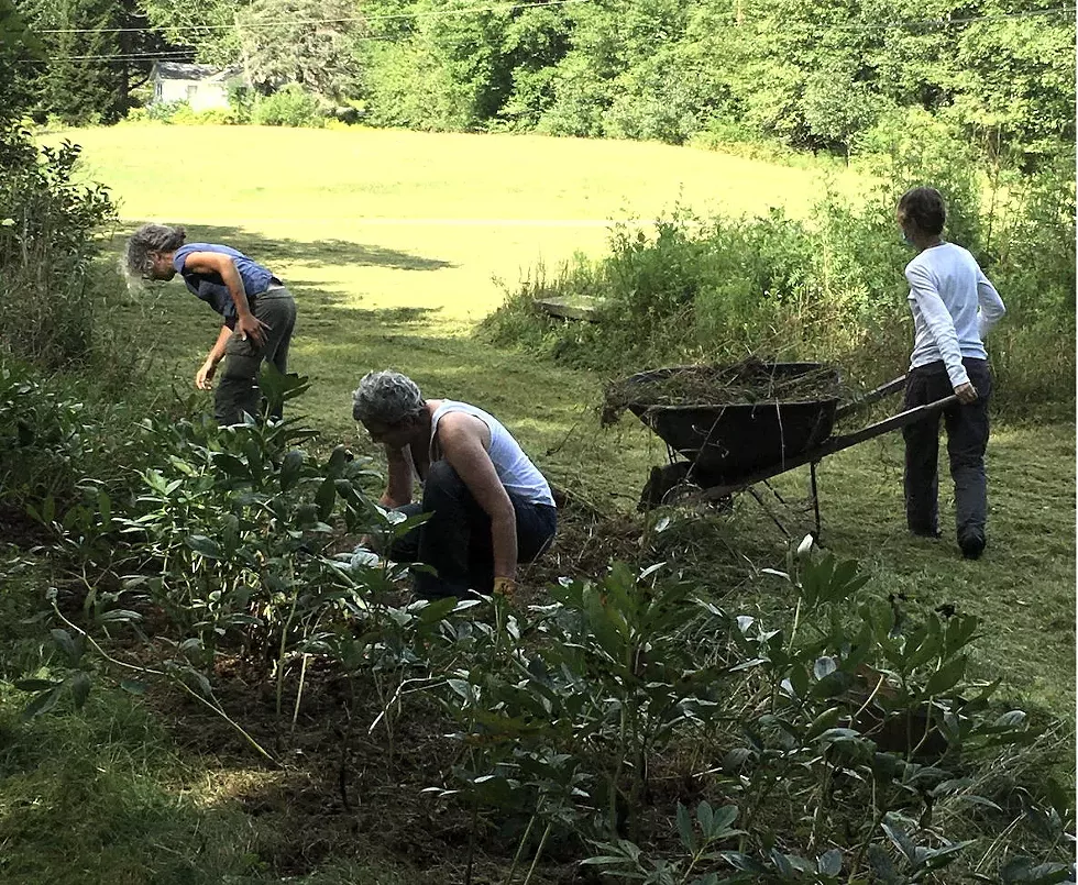 Volunteers Gardening