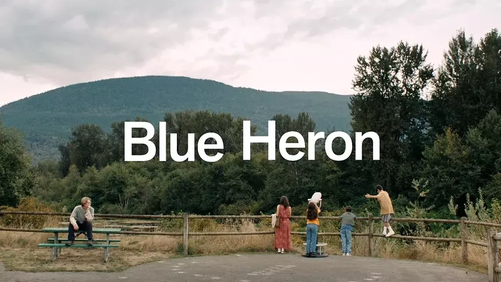 blue-heron.webp