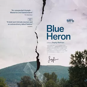 Image: Blue Heron