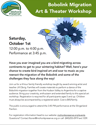 Image: Bobolink Migration Art and Theater Workshop