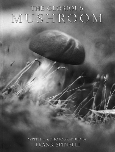 Book Review: The Glorious Mushroom