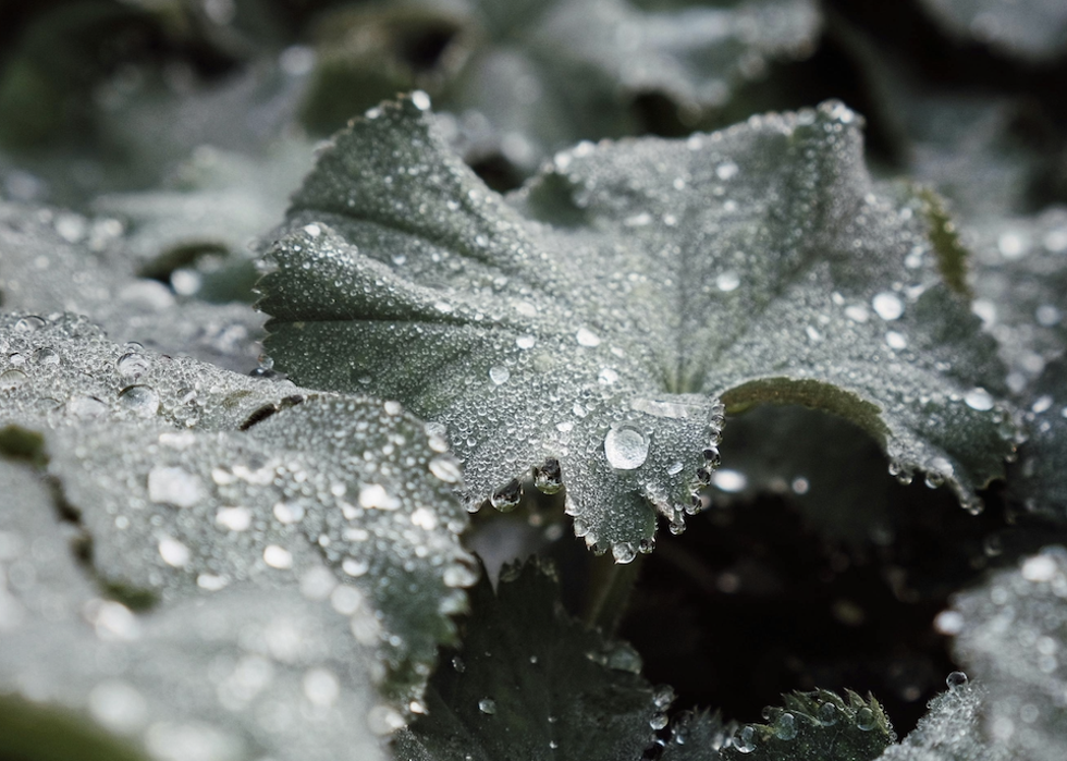 breathscapes_image.png
