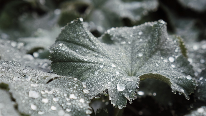 Image: Breathscapes with Amy Shearer