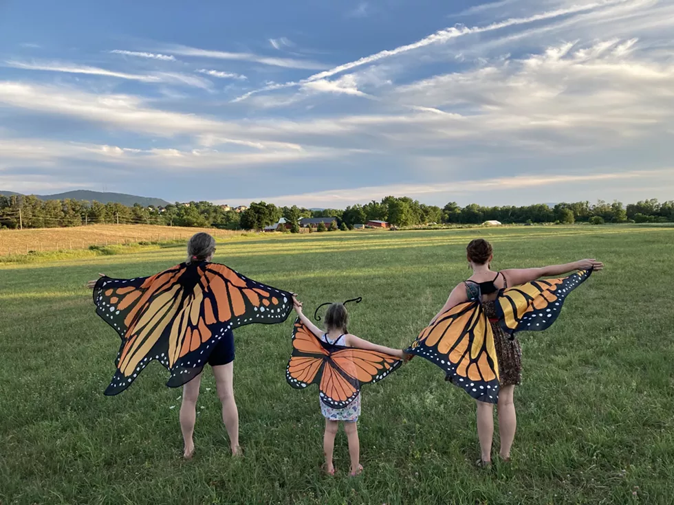 Butterflies Take Flight
