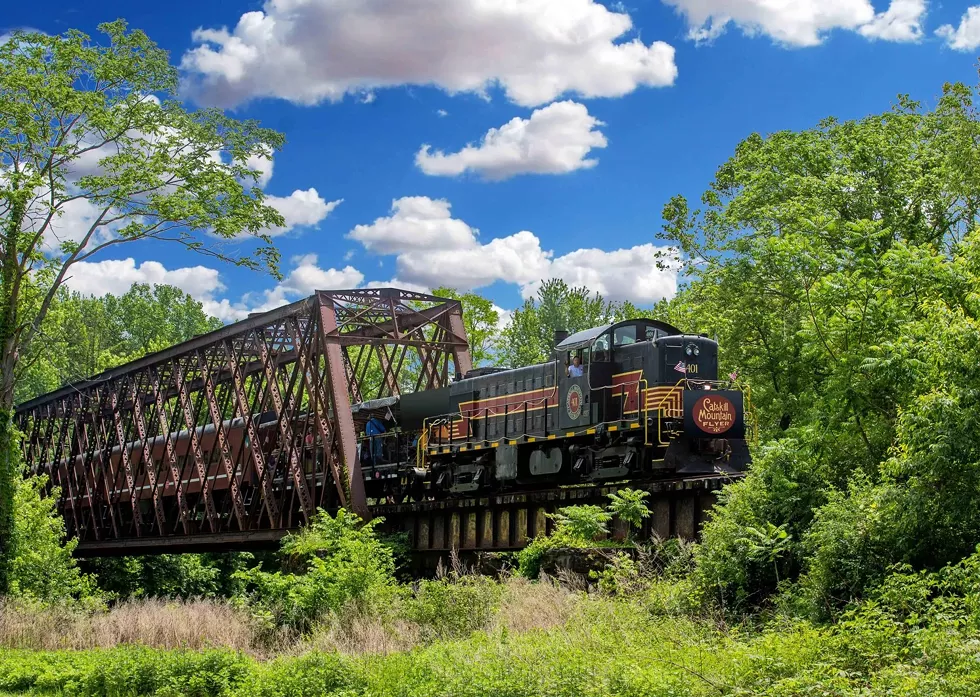 Catskill Flyer - Summer