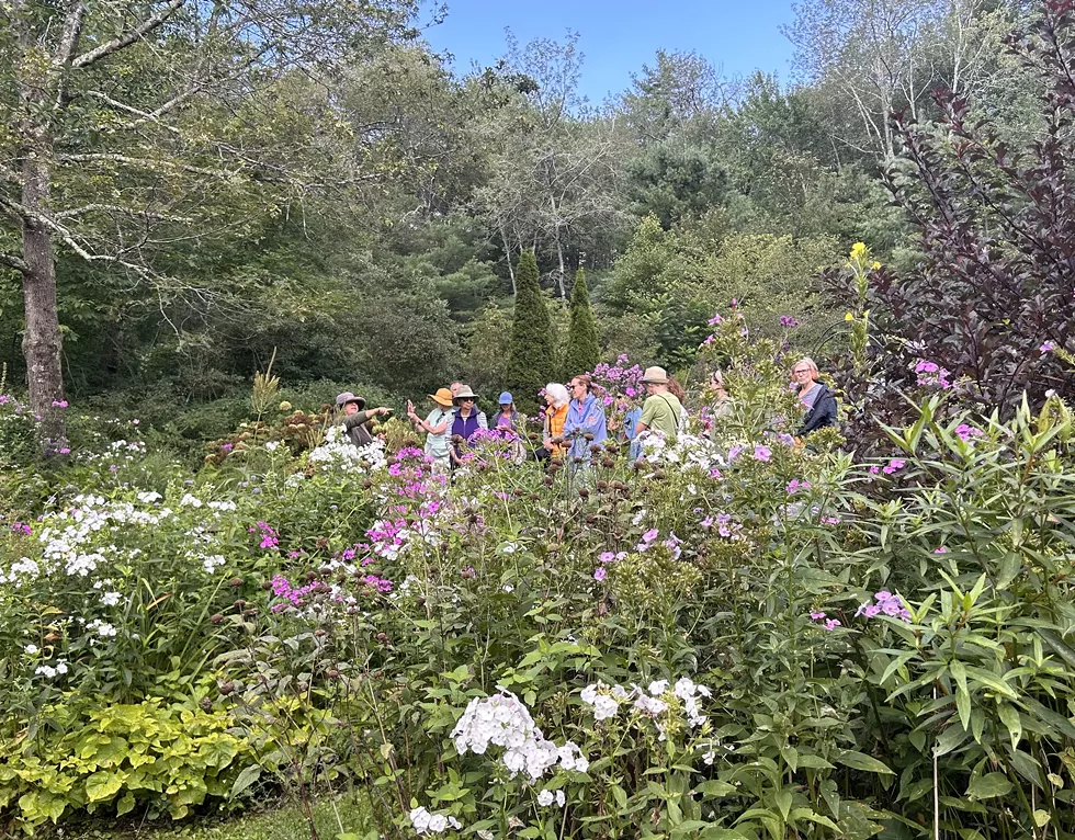catskill_native_nursery.webp