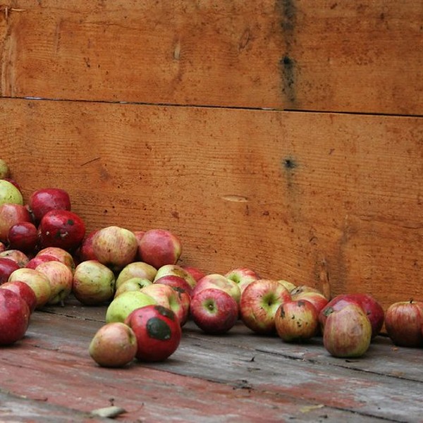 Celebrate Cider Week in the Hudson Valley Now Through October 17