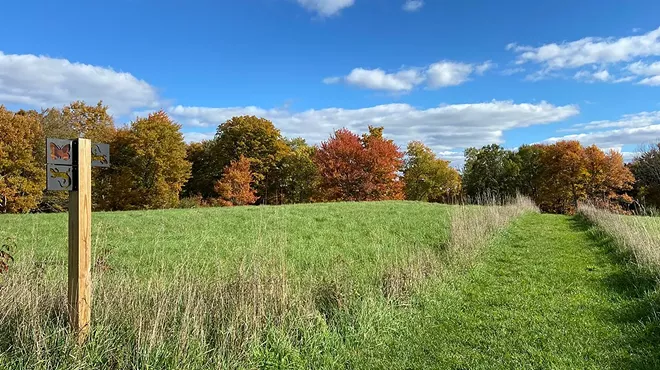 Image: Changing of the Leaves