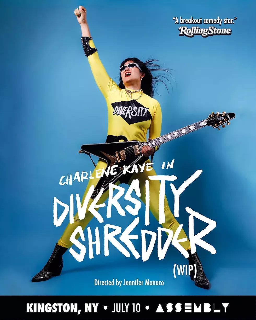 diversity_shredder_artwork_w_city_infocharlene_kaye_diversity_shredder_4x5_copy.webp