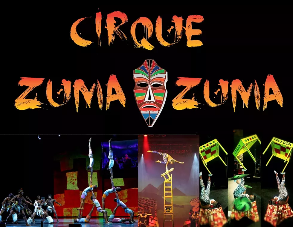 zuma1.webp