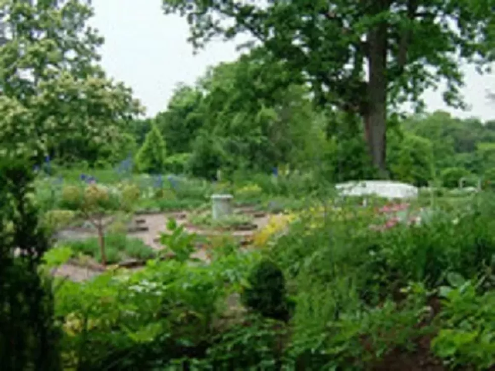 clermont_garden.webp