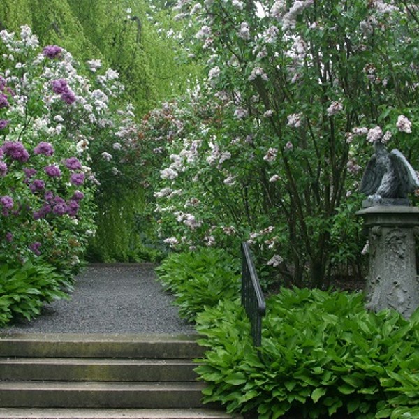 Clermont Grounds and Gardens Tour