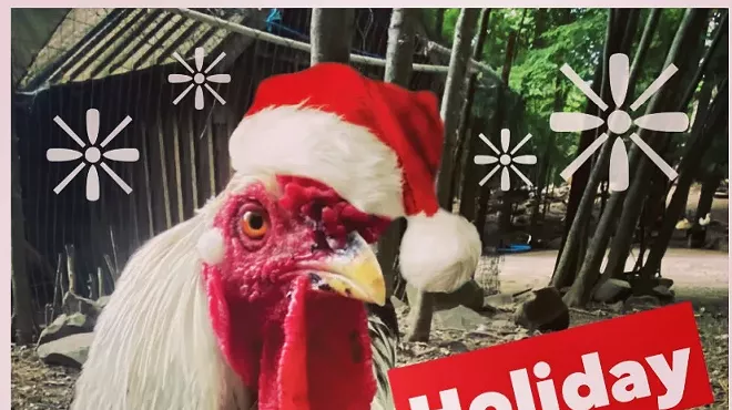 Image: Cock-Tails for the Animals! Hudson NY