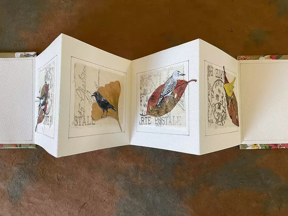 Collage Accordion Book