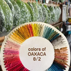 Image: Colors of Oaxaca with Hanoux