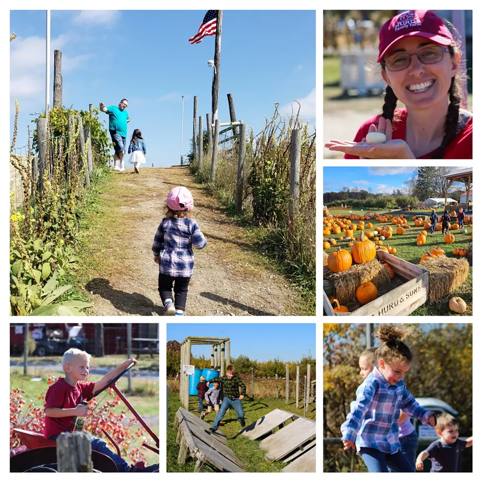 Join us as we Celebrate and Honor Our Nation&rsquo;s Heroes with a Special Veterans Day Family Event at the farm!