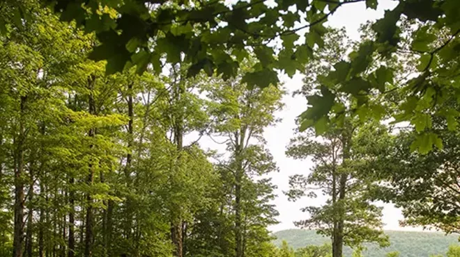 Image: Community Day at Jacob&rsquo;s Pillow!