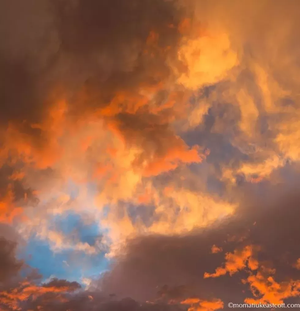 ymje_sky.webp